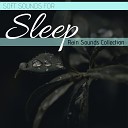 Zen Sleep Music Specialist - Sacred Water