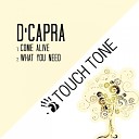 D Capra - What You Need Original Mix
