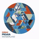 PiGaia - Wonderland Original Mix