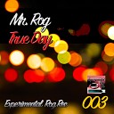 Mr Rog - Experimental Loop Song Original Mix