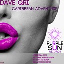 Dave Qri - Caribbean Adventure G Lectic Remix