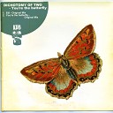 Dichotomy Of Two - You Are The Butterfly Original Mix