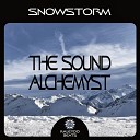 The Sound Alchemyst - Swarm Original Mix