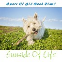 Sunside Of Life - A Tale of Four Friends