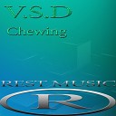 V S D - Chewing Original Mix