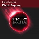 Barakooda - Black Pepper Original Mix