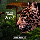 Ver Dikt DimmExt - Like It Original Mix