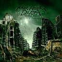 Macabre Decay - Endless Pain