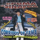 El Puma De Sinaloa - El Gallo de Sinaloa
