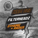 Filterheadz - Radius Original Mix