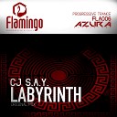 Cj S a y - Labyrinth Original Mix
