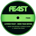 Altered Feast feat Danielle Quinn - More Than Before Original Mix