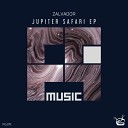 Zalvador - Voyager Original Mix