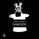Dark Tunnes - Ordering two