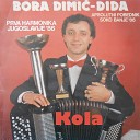 Bora Dimic Dida - Laka konjica