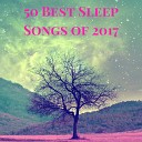 Sleep Harmony Anti Stress - Levite Lullaby Lotus Garden Soft Zen Music