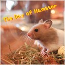 Ham s Cheese - Dancing with the Hamster