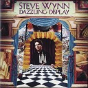 Steve Wynn - A Dazzling Display