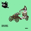 Criss Korey - Honey Original Mix
