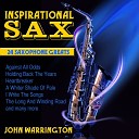 John Warrington - Love Will Save The Day