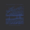 Weathered Statues - The Widow Sunday