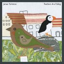 James Yorkston - Feathers Are Falling Luke Abbott Remix