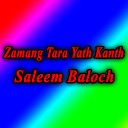 Saleem Baloch - Shar Zanan Mani Arwah