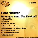 Pete Robson - Have You Seen The Sunlight Chill Mix