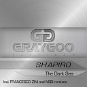 Shapiro - The Dark Sea Original Mix