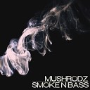 Mushrodz - Smoke N Bass Original Mix