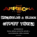 Monocles Slezz - Gypsy Town Nature L Afro Soul Mix