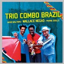 Trio Combo Brazil - Taj Mahal