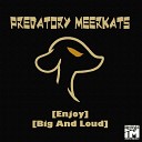 Predatory Meerkats - Enjoy Original Mix