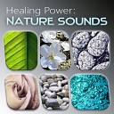 Healing Power Natural Sounds Oasis - Feel Better Healing Music