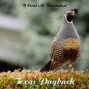 Texas Payback - Neverlands