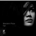 Mandarin Plaza - Fall Original Mix