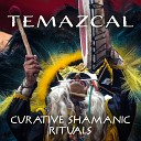 Shamanic Drumming World - Gifts of Earth