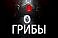 Бал Вампиров Гробы - Тает лед Грибы Пародия