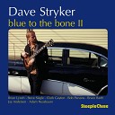 Dave Stryker feat Adam Nussbaum Jay Anderson Bruce Barth Bob Parsons Clark Gayton Steve Slagle Brian… - The Squeeze