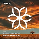 Modest Intentions - No Shadows in Trust