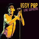 Iggy Pop - Lust for Life Live