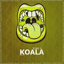 Funk V - Koala Original Mix