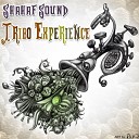Shahaf Sound - In Trance Original Mix
