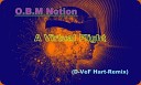 O B M Notion - A Virtual Flight DJ D VeF Hdrt remix Preview