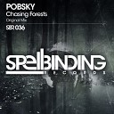 Pobsky - Chasing Forests Original Mix