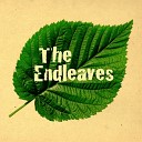 The Endleaves - For A Day