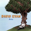 David Evan - Chickenboy Willie s Boxcar Adventure