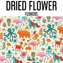 Dried Flower - Rogers