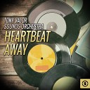 Tony Valor - Never Gonna Give You Up