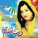 Zeeba Sanam - Ladey Lady Go